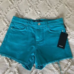 Hudson teal shorts